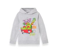TEENAGE MUTANT NINJA Turtles Sudadera con Capucha para niños | Sudadera con Capucha Shell Skater Raphael Graphic para niños en Gris | Top de Ropa de Personaje de Graffiti de Skateboard TMNT