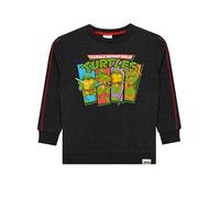 Teenage Mutant Ninja Turtles Sudadera | TMNT Jersey Niño | Sudaderas Niños | Gris 8-9 años