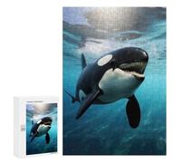 Teenagers 300 PCS Puzzles Majestic Orca Ballena Killer Puzzles Para Adultos Juegos de Relajación Mejoran La Memoria Actividades Divertidas En Casa 300 PCS