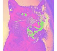 Teenanger - Good Time [Vinilo]