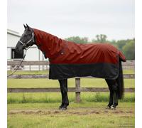 Teenpull Manta para caballo verde oscuro y negro, 155 cm, poliéster, impermeable, transpirable, con cierre ajustable en el pecho y correa abdominal para establo, transporte de pastos, equitación
