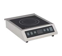 Teenpull Placa de inducción eléctrica de acero inoxidable con 3500 W de potencia, pantalla táctil, función de temporizador, compacto 41 x 32,7 cm, portátil para cocina, camping, oficina, exterior