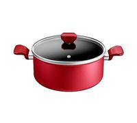 Tefal - Olla de 24 cm, inducción, revestimiento antiadherente, indicador de temperatura, tapa de cristal, mango cómodo, comida deliciosa y saludable, fabricado en Francia, Daily Expert C2894602