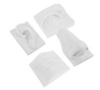 TEHAUX Juego de 4 Modelos Sólidos de Yeso para Dibujo de Rasgos Faciales, Práctica de Bocetos, Escultura y Enseñanza Artística, Superficie Lisa para Pintura y Técnicas Avanzadas,