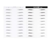 TEHAUX Parche Adhesivo para Cejas 6D Resistente al Agua Parche Artificial para Cejas Color Marrón Oscuro 10 Pares para Hombres Herramienta de Maquillaje Natural y Duradera