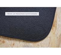 teileplus24 520-W Alfombras de Invierno para el Coche para Mini I R50 53 2001-2006 Parte Trasera de Goma