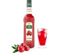 Teisseire Sirope Arándano 0,7 l