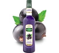 Teisseire Sirope De Grosella Negra 0,7 l