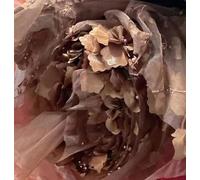 Tejidos de tul bordado con encaje, Beading 3D Embroidered Lace Fabric for Wedding Dress DIY Multicolor 1-5 meters(Coffee,5Meters)