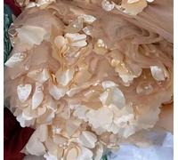 Tejidos de tul bordado con encaje, Beading 3D Embroidered Lace Fabric Multicolor 1M Or 5M(Champagne Golden,1Meter)