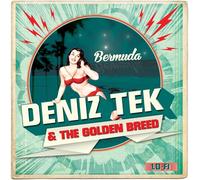 Tek, Deniz Tek & the Golden Breed – Bermuda – Vinilo LP