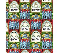 Tela de Harry Potter - Varillas de escoba de cristal manchado - Se vende en múltiplos de 0,5 metros - (100% algodón, tela con licencia auténtica, ideal para manualidades)