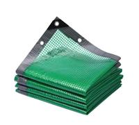 Tela Impermeable de Rejilla Gruesa 0,30mm for Exteriores, Lona for jardín, bonsái, Planta suculenta, Cubierta Visible a Prueba Lluvia, Transparente para Acampada(Green,4x4m)