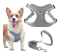 TELAOBAN Juego de arnés y correa para perro y gato, ajustable, pequeño (15.7-20.47 pulgadas), gris, sin tirones, correa de seguridad reflectante, accesorio para pasear mascotas