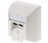 Telegartner Dose AMJ45 8/8 K AP/50 Cat.6 NUEVO