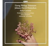 Telemann, Heinichen : Cantates de jeunesse. Ensemble Polyharmonique, Schneider.