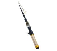 Telescopic Fishing Rod, Foldable Casting Pole, Lightweight Travel Stick, Smooth Reel Handling Durabled Carbon for Saltwater Kayak Bank Boat Fishing, 14.96 pulgadas