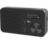 TELESTAR Top 100 - Radio portátil Dab+/FM (batería Intercambiable, hasta 15 h de reproducción, Corto Tiempo de Carga, Bluetooth Audio-Streaming, Reproductor USB) - Negro