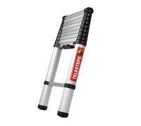 Telesteps 20130-501 Escalera de línea Eco de 3,0 metros
