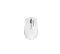 TELLUR Ratón Inalámbrico con Clic Silencioso, Recargable, Nano Receptor USB 2.4 GHz, Mouse Wireles con Clic Silencioso, 1600DPI, Banda de Luz RGB, Diseño Delgado y Ligero para Llevar (Blanco)