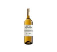 Telmo Rodriguez Basa Blanco 2025