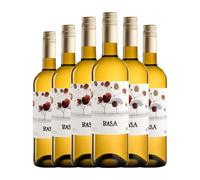 Telmo Rodríguez Basa Verdejo Rueda 75 cl Vino blanco (Caja de 6 Botellas de 75 cl)