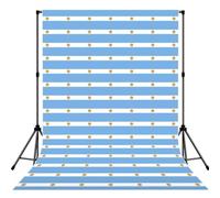 Telón de fondo de fotografía con estampado de bandera argentina para estudio, boda, fiesta, sesiones de fotos