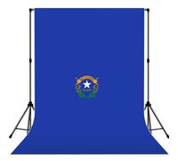 Telón de fondo de fotografía con estampado de bandera del estado de Nevada para estudio, boda, fiesta, sesiones de fotos