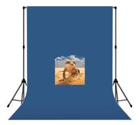 Telón de fondo de fotografía con estampado de leopardo de arena para estudio, boda, fiesta, sesiones de fotos
