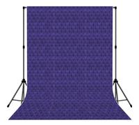Telón de fondo de fotografía con estampado de mansión embrujada para sesiones de fotos de boda, estudio y ocasión
