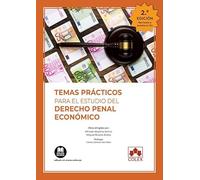Temas prácticos para el estudio del Derecho penal económico: 1 (Monografías)