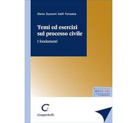 Temi ed esercizi sul processo civile. I fondamenti