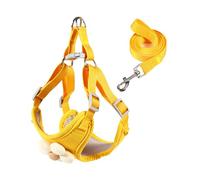 TEMOOUES Juego de correa de chaleco para perro, chaleco decorativo para correr y nadar, para perros pequeños y grandes, correa larga para perros grandes, resistente