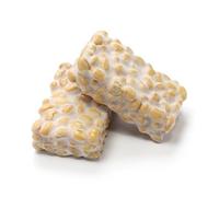 Tempeh - Cultivo iniciador con esporas de Rhizopus - Prepara un delicioso tempeh en casa, Tempeh Rhizopus rico en proteínas (Rhizopus oligosporus) - Peso neto: 19,8 g. Carne vegetal casera. Sin gluten
