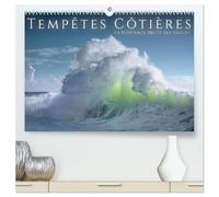 Tempêtes côtières - La puissance brute des vagues (Calendrier mural 2026 DIN A2 vertical) calendrier de bureau: La puissance brute et dramatique des tempêtes côtières