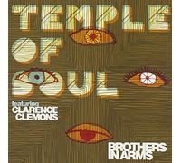 Temple of Soul - Brothers in Arms