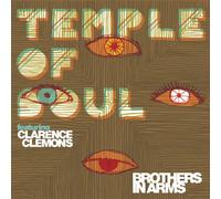 Temple of Souls - Brothers in Arms