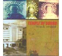 Temple of Sound - Black Orchid