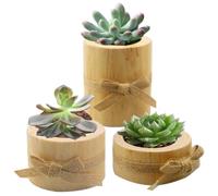 TEMPNAP Candelabros de Madera de Pino para Velas de Té 3 Piezas Soporte para Suculentas Diseño Europeo para Adorno de Hogar y Sala