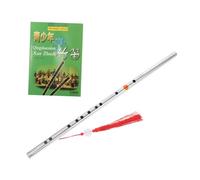 TEMPNAP Dizi De Acero Inoxidable Principiantes Instrumento Musical Chino Tradicional Flauta Dizi Duradera y Fácil De Tocar Libro De Instrucciones