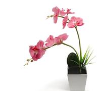 TEMPNAP Lámpara LED sin Cables de Orquídea Artificial Rosa 9 Luces, Maceta Decorativa Luz Nocturna Romántica para Hogar y Dormitorio Adecuado para Bodas, Fiestas y Navidad