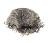 TEMPNAP Peluca de Abuela Corta Gris Plata para Mujer Ondas, Estilo Moño, de Resistente al Calor, Reutilizable para Halloween y Fiesta