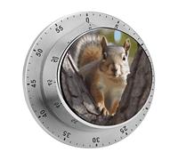 Temporizador de Cocina Squirrel in The Tree, Temporizador mecánico de Cuenta Regresiva de 60 Minutos con Alarma, no Requiere Pilas, Resistente al Agua, de Acero Inoxidable, para cocinar, Hornear y r