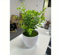 TEMU 1 de un eucalipto de 9 pulgadas de , estilizado en una blanca, con flores artificiales - un pequeño decorativo para interiores - para arreglos de bonsái, y decoración de