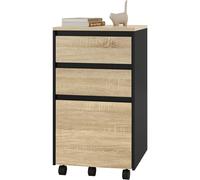 TEMU 1 estante de almacenamiento para oficina cajones, estante de carpetas, estante de oficina con ruedas, cajón grande equipado con 2 varillas metálicas.