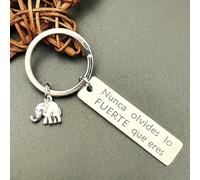 TEMU 1 llavero de elefante de acero inoxidable, "Nunca Olvides Lo Que ", colgante de energía para hombres, estilo funky, unisex, accesorio para coche y mochila