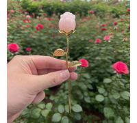 TEMU 1 pieza de natural, rosa, flor, florecimiento, rama dorada, hojas decorativas, , ideal para regalos de vacaciones, joyería, decoración del hogar y regalos, suministros para hacer joyas.