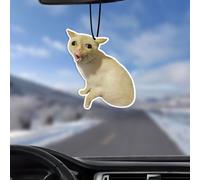 TEMU 1 Tableta de Aromaterapia para Coche con Cara de Gato | Ambientador para Armario, Decoración Colgante para Espejo Retrovisor, Accesorio Interior para Coche