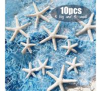 TEMU 10 piezas/ de mar blancas de resina - Materiales de decoración artística de resina de viento oceánico , de oceánicos para decoración del hogar a