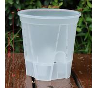 TEMU 10pcs Macetas Transparentes de Auto-Riego con Agujeros de Drenaje - Perfectas para Orquídeas y Plantas de Interior/Exterior, Plástico Duradero